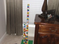 20100206 388.JPG